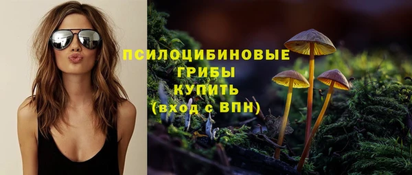 ГАЛЛЮЦИНОГЕННЫЕ ГРИБЫ Белокуриха