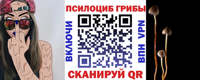 Галлюциногенные грибы прущие грибы  что такое наркотик  дарк нет состав  Староминская 